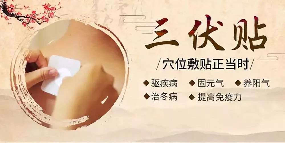 關于三伏貼，你了解多少呢？