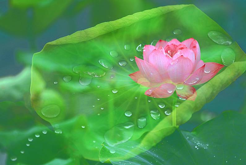 醫(yī)療器械網(wǎng)：失眠該怎么辦？